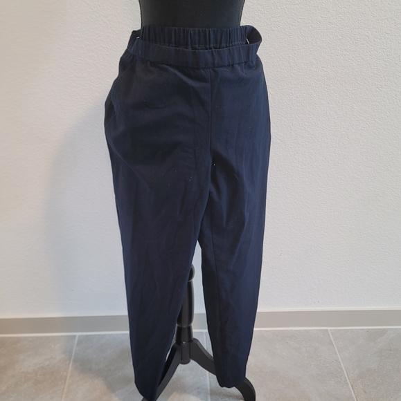 Briggs Petite Navy Slacks (12P) - Picture 7 of 14